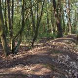 9929_leszno_20090426.jpg