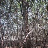 img_1726.jpg