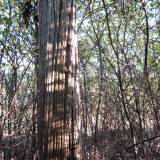 img_1730.jpg