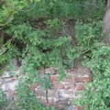 img_6166.jpg