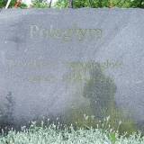 3606_mystkowiec_20080522.jpg