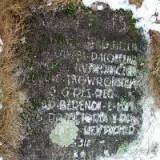 348_niedarzyn_20051203.jpg