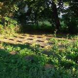 8164_obrebiec_20140810.jpg