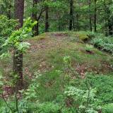 3645_ochudno_20080522.jpg