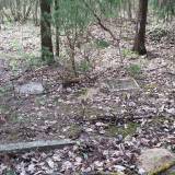 20160416_141532.jpg