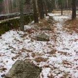366_pesy_20051203.jpg