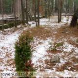 368_pesy_20051203.jpg