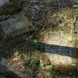 dscf9105_1.jpg