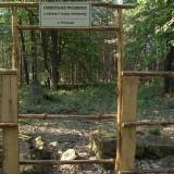 dscf9106_1.jpg