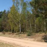 9945_podos_nowy_20090426.jpg