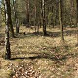 9947_podos_nowy_20090426.jpg