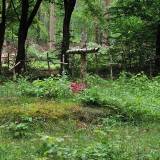 3641_porzadzie_20080522.jpg