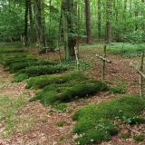 3642_porzadzie_20080522.jpg