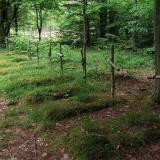 3644_porzadzie_20080522.jpg
