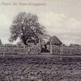 Sachsenfriedhof w Psucinie.