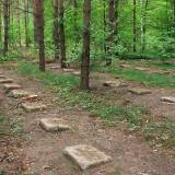 3544_radzanow_20080518.jpg