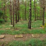 3547_radzanow_20080518.jpg