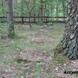radzanowek14.km3.jpg