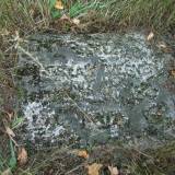 dscf0532.jpg