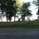 dscf0533.jpg