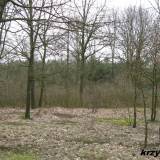 strzegowo14.km001.jpg