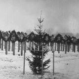 warschau002.jpg