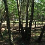 0487_wolka_kuninska_20090531.jpg