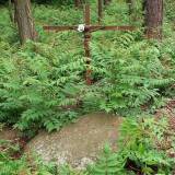 3629_zagrodzie_20080522.jpg