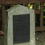baczal.dln14.gryzley005.jpg