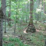 img_7100.jpg