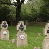 januszkowice14.gryzley005.jpg