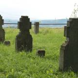 januszkowice14.gryzley012.jpg