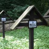 img_9281.jpg