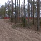 bialogrady01.jpg