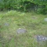 2005-08-27chojny_mlode_4.jpg