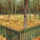 170_niksowizna_20051112.jpg