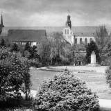 oliva01.jpg