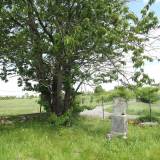 dscf4615.jpg