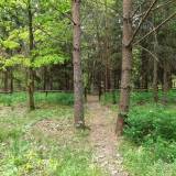 dscf4669.jpg