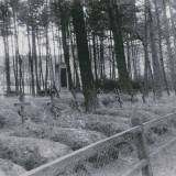 cmentarz_zolnierzy_rosyjskich_z_i_wojny_swiatowej_w_niebedzinie_foto_z_1935_r..jpg