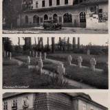 rosslinde_1941.jpg