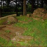 tarputschen01.jpg