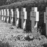 ebenrode41.jpg