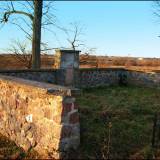 grunweiden01.jpg