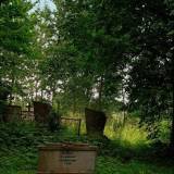 plauendorf02.jpg