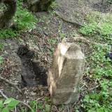 podlessje03.jpg