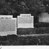 waldaukadel01.jpg