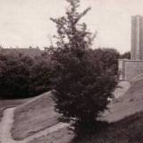 bartenstein04.jpg