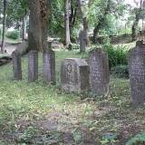 biala1-5.jpg