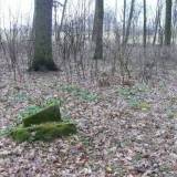 bialla02.jpg